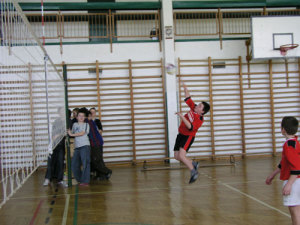 siatkowka3