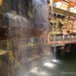 IMG_2123
